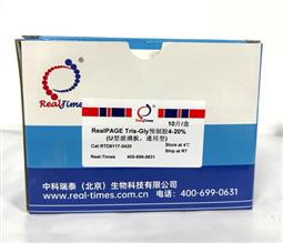 4-20%RealPAGE Tris-Glycine預(yù)制膠（塑料板）11孔