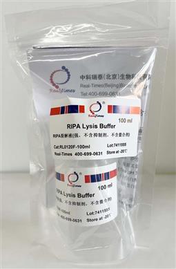 RIPA裂解液(強(qiáng)，不含抑制劑，不含螯合劑)