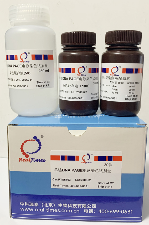 單鏈DNA PAGE電泳染色試劑盒